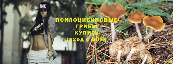 молекула духа Алексин