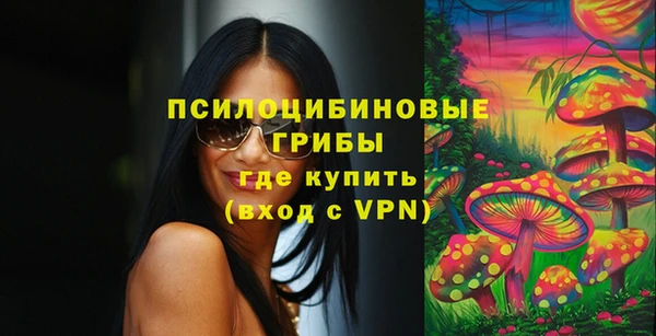дмт Абаза