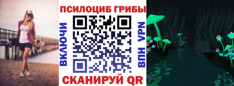 Псилоцибиновые грибы Psilocybine cubensis  Староминская 