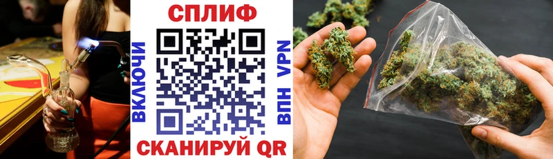 Каннабис Amnesia  Староминская 