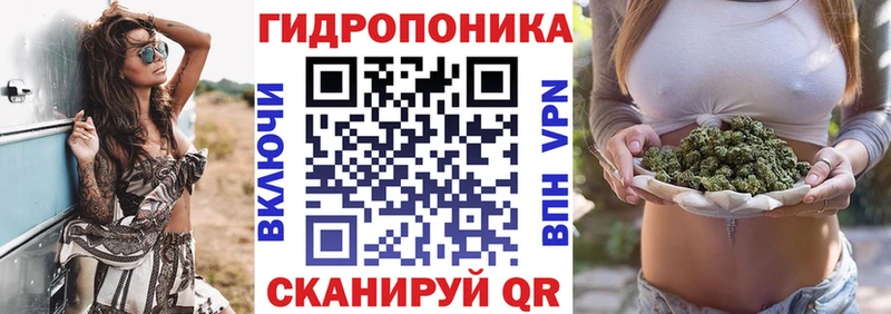 Бошки марихуана THC 21% Староминская